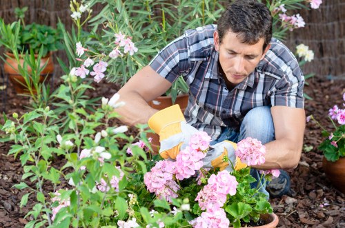 Donated garden materials and planters staged for local charity collection