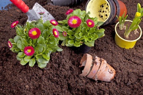 Lush garden in Uxbridge showcasing vibrant flowers and healthy plants